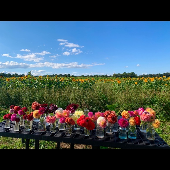 Meet your Posher, Mari - Picture 2 of 16